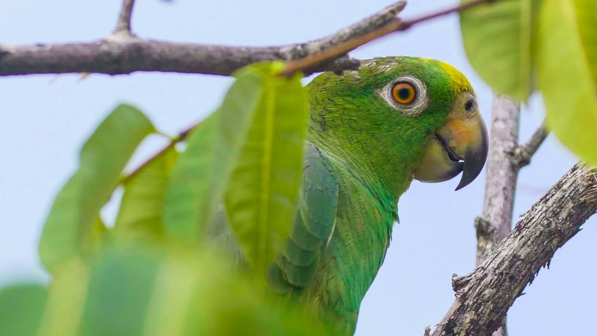 Colombia tourism film